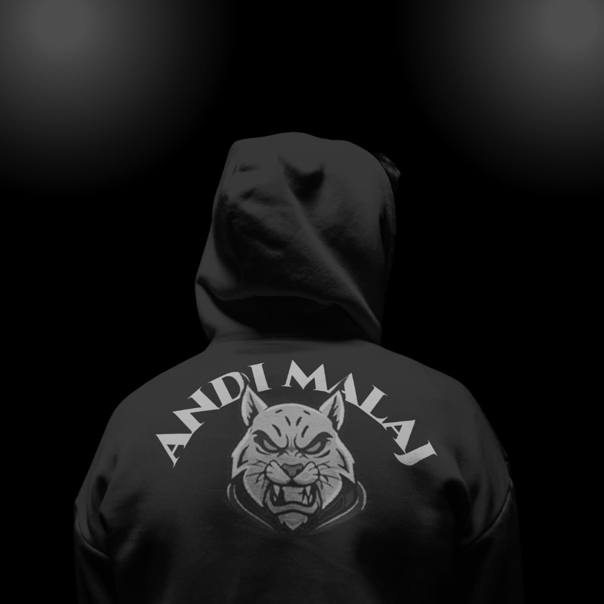 Back of a black hoodie with the lynx and Andi Malaj lettering